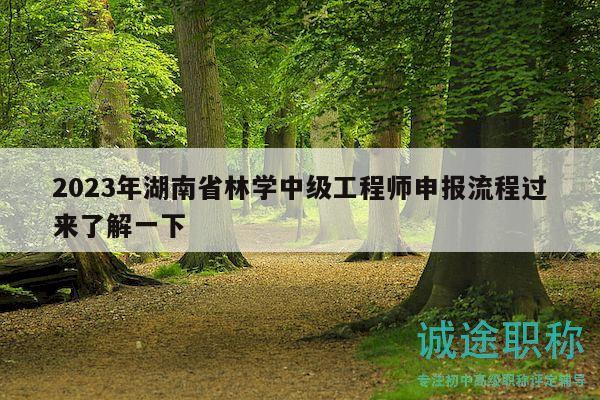 2023年湖南省林学中级工程师申报流程过来了解一下