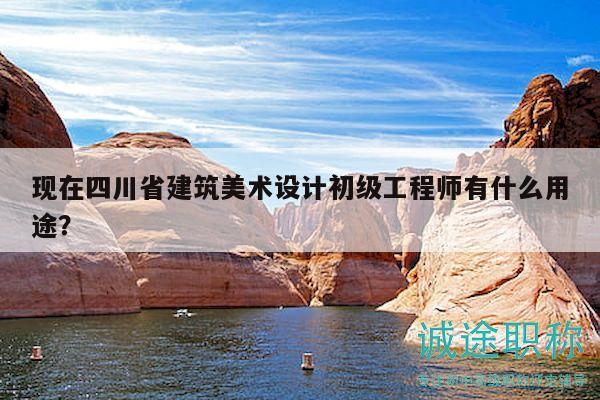 现在四川省建筑美术设计初级工程师有什么用途？