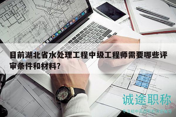 目前湖北省水处理工程中级工程师需要哪些评审条件和材料？