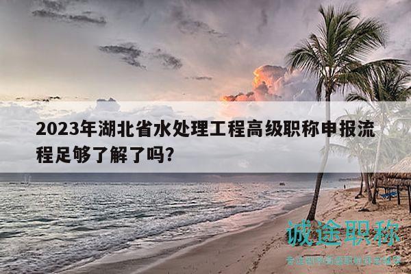 2023年湖北省水处理工程高级职称申报流程足够了解了吗？