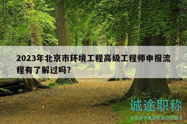 2023年北京市环境工程高级工程师申报流程有了解过吗？