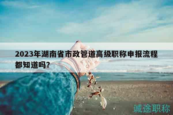 2023年湖南省市政管道高级职称申报流程都知道吗？