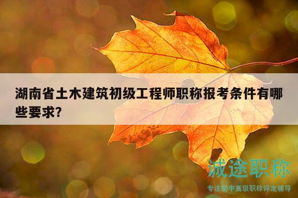湖南省土木建筑初级工程师职称报考条件有哪些要求？