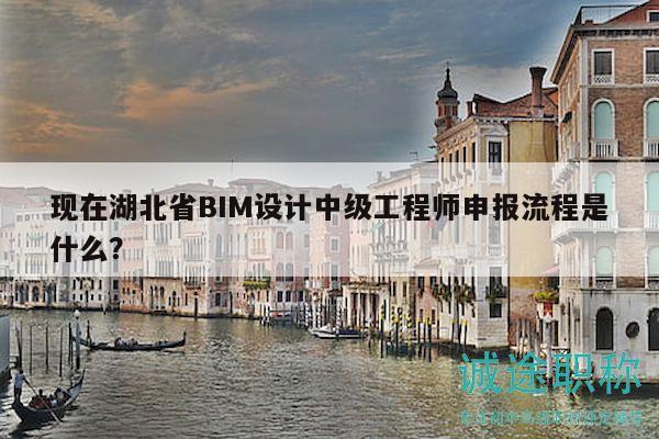 现在湖北省BIM设计中级工程师申报流程是什么？