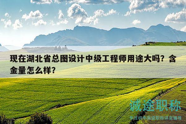 现在湖北省总图设计中级工程师用途大吗？含金量怎么样？