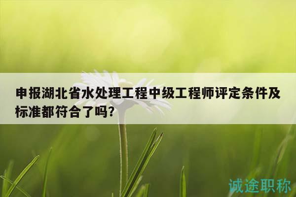 申报湖北省水处理工程中级工程师评定条件及标准都符合了吗？