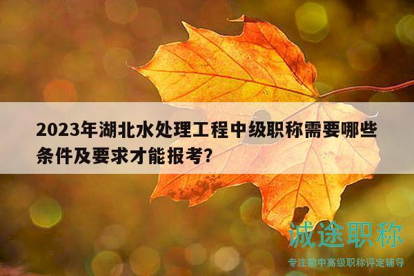 2023年湖北水处理工程中级职称需要哪些条件及要求才能报考？