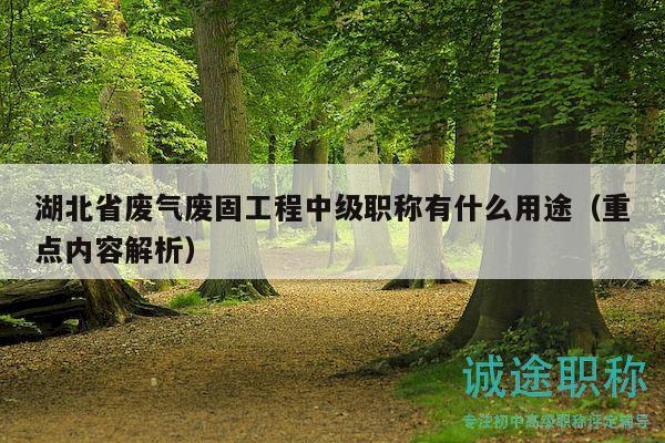 湖北省废气废固工程中级职称有什么用途（重点内容解析）