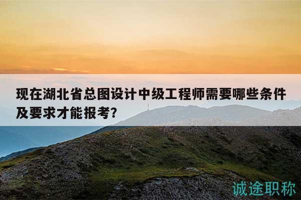 现在湖北省总图设计中级工程师需要哪些条件及要求才能报考？