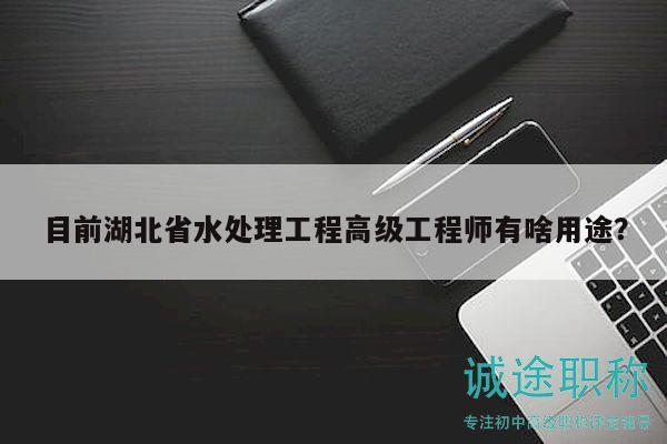 目前湖北省水处理工程高级工程师有啥用途？