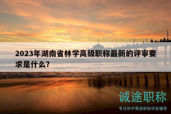 2023年湖南省林学高级职称最新的评审要求是什么？