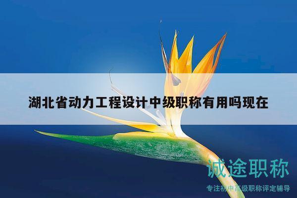 湖北省动力工程设计中级职称有用吗现在