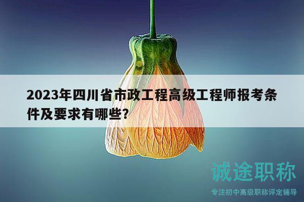 2023年四川省市政工程高级工程师报考条件及要求有哪些？