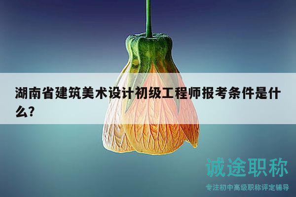 湖南省建筑美术设计初级工程师报考条件是什么？