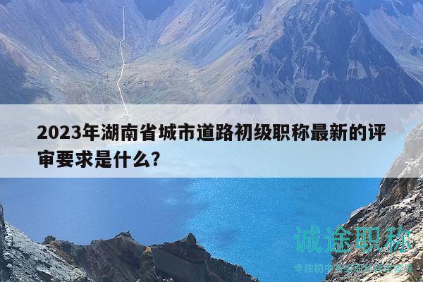 2023年湖南省城市道路初级职称最新的评审要求是什么？
