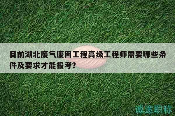 目前湖北废气废固工程高级工程师需要哪些条件及要求才能报考？