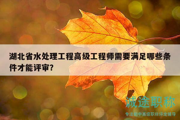 湖北省水处理工程高级工程师需要满足哪些条件才能评审？