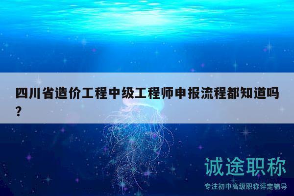 四川省造价工程中级工程师申报流程都知道吗？