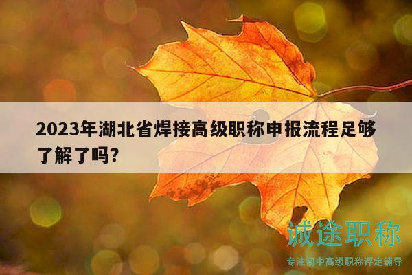 2023年湖北省焊接高级职称申报流程足够了解了吗？