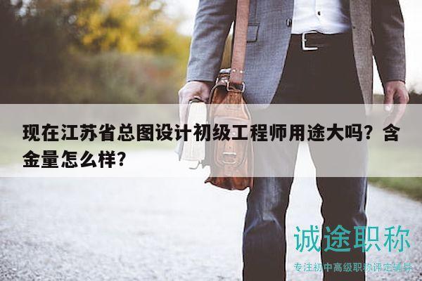 现在江苏省总图设计初级工程师用途大吗？含金量怎么样？