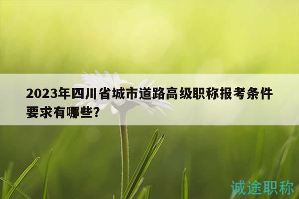 2023年四川省城市道路高级职称报考条件要求有哪些？