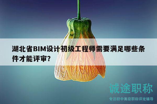 湖北省BIM设计初级工程师需要满足哪些条件才能评审？
