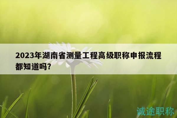 2023年湖南省测量工程高级职称申报流程都知道吗？