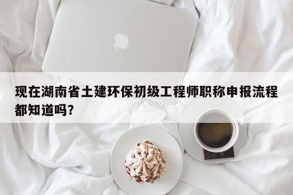 现在湖南省土建环保初级工程师职称申报流程都知道吗？