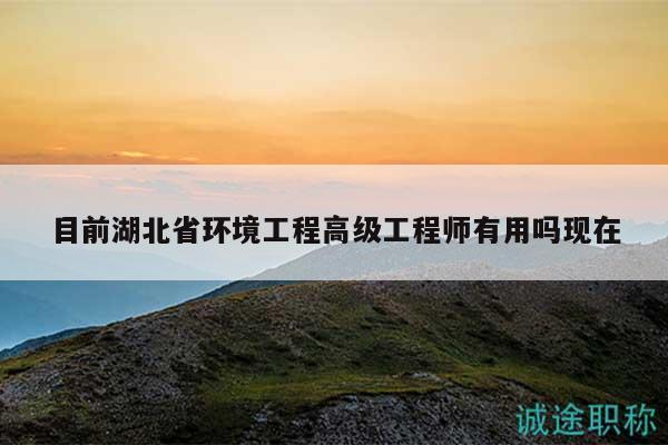 目前湖北省环境工程高级工程师有用吗现在
