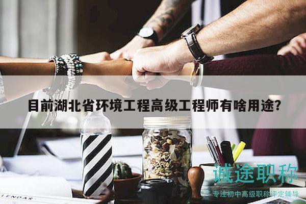 目前湖北省环境工程高级工程师有啥用途？