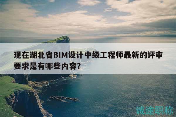 现在湖北省BIM设计中级工程师最新的评审要求是有哪些内容？