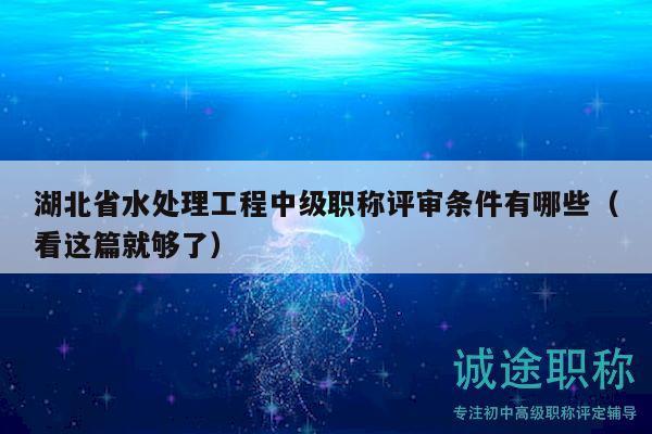 湖北省水处理工程中级职称评审条件有哪些（看这篇就够了）