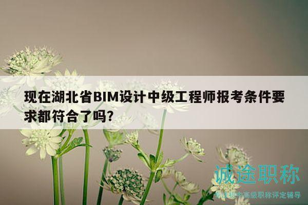 现在湖北省BIM设计中级工程师报考条件要求都符合了吗？