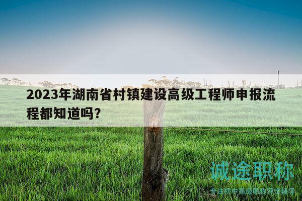 2023年湖南省村镇建设高级工程师申报流程都知道吗？