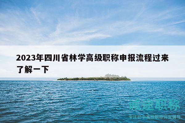 2023年四川省林学高级职称申报流程过来了解一下