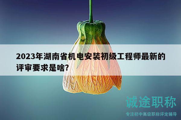 2023年湖南省机电安装初级工程师最新的评审要求是啥？