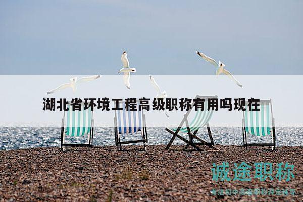 湖北省环境工程高级职称有用吗现在