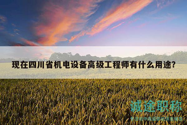 现在四川省机电设备高级工程师有什么用途？