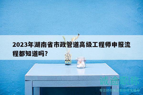 2023年湖南省市政管道高级工程师申报流程都知道吗？