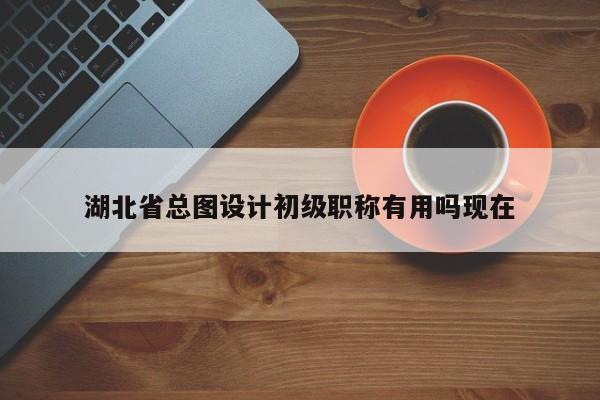 湖北省总图设计初级职称有用吗现在