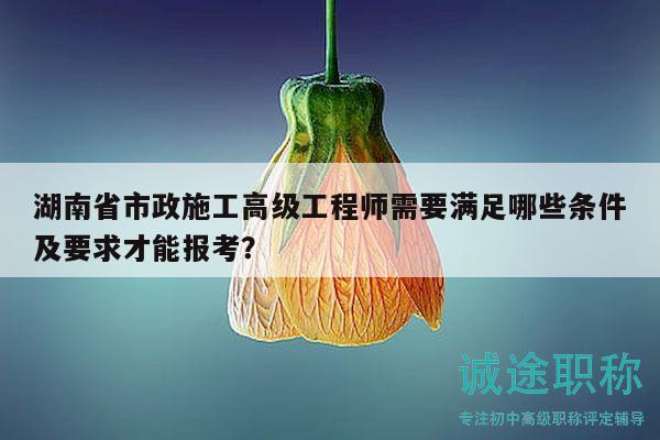 湖南省市政施工高级工程师需要满足哪些条件及要求才能报考？
