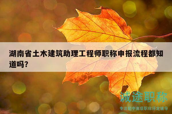 湖南省土木建筑助理工程师职称申报流程都知道吗？