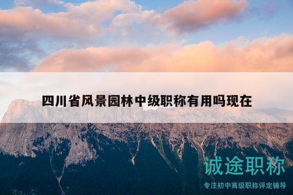 四川省风景园林中级职称有用吗现在