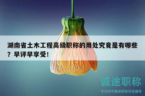 湖南省土木工程高级职称的用处究竟是有哪些？早评早享受！