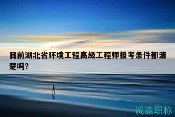 目前湖北省环境工程高级工程师报考条件都清楚吗？