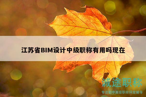江苏省BIM设计中级职称有用吗现在
