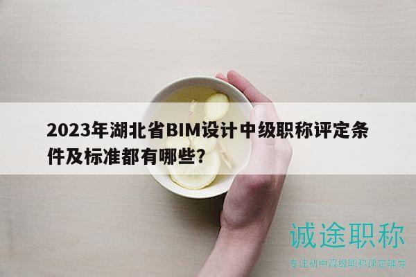 2023年湖北省BIM设计中级职称评定条件及标准都有哪些？