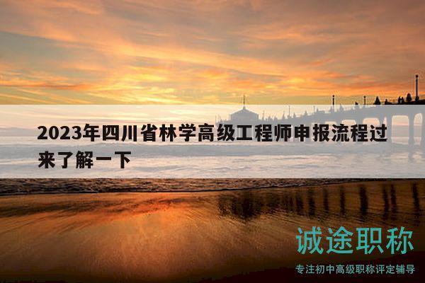 2023年四川省林学高级工程师申报流程过来了解一下