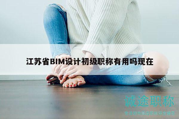 江苏省BIM设计初级职称有用吗现在