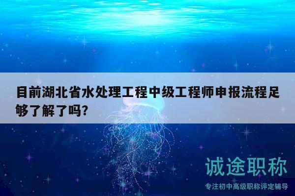 目前湖北省水处理工程中级工程师申报流程足够了解了吗？